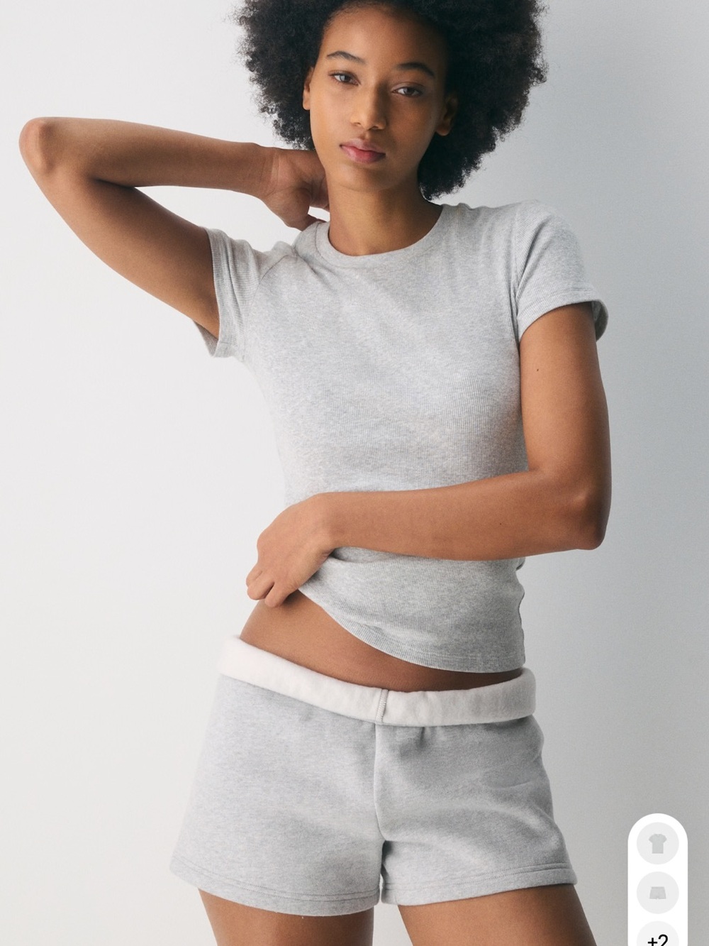 Aritzia homestretch rib tune t-shirt